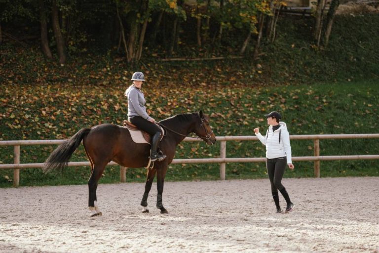 ecurie-covarel-elevage-cso