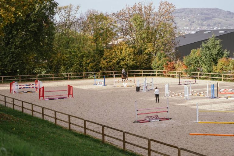 ecurie-covarel-elevage-installation