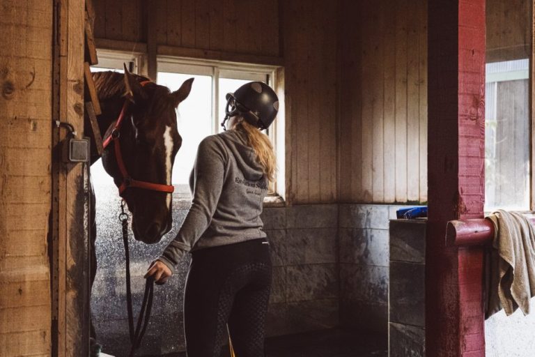 ecurie-covarel-formation-securite-centre-equestre