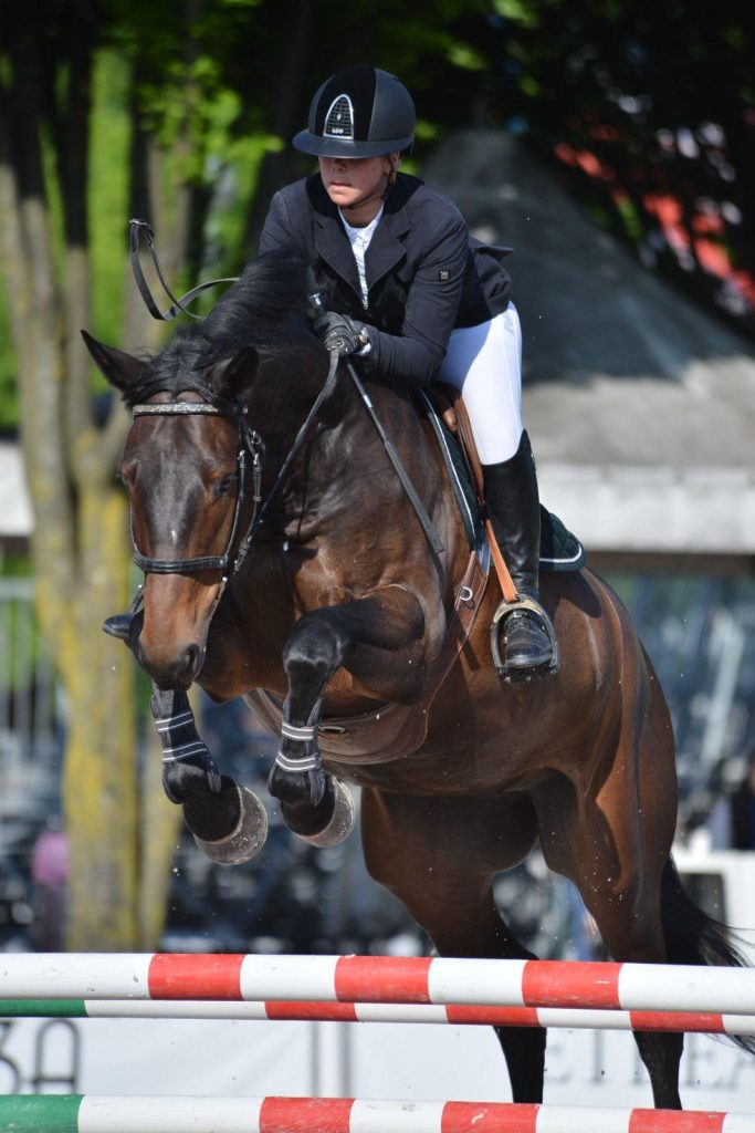 photo du cheval griezmann aux écuries covarel
