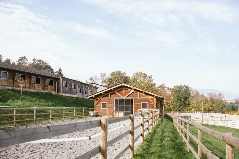 ecurie-covarel-nos-installations-en-tete