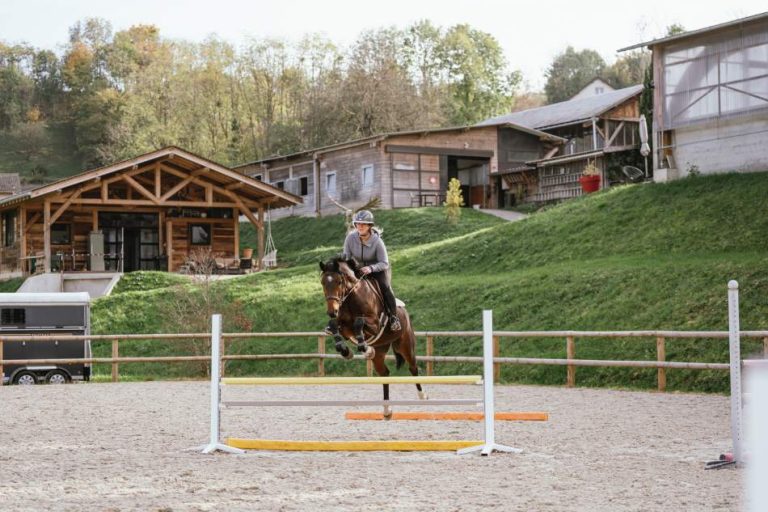 ecurie-covarel-nos-installations-saut
