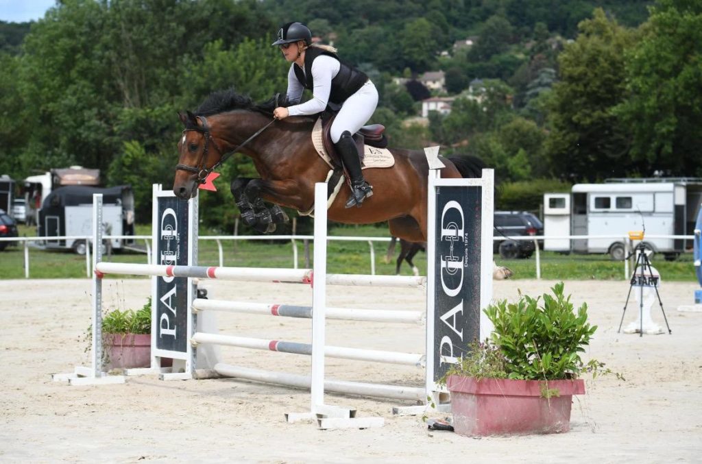 photo du cheval touch of eden aux ecuries covarel